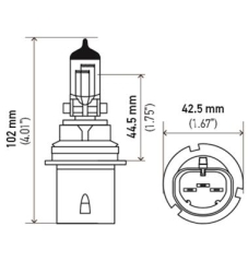 Glühbirnen - Bulbs  HB1 - 9004  100/80 Watt